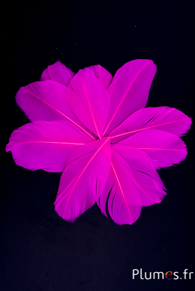 Pétales en plumes - 6-8 x 3-4 cm - fuchsia